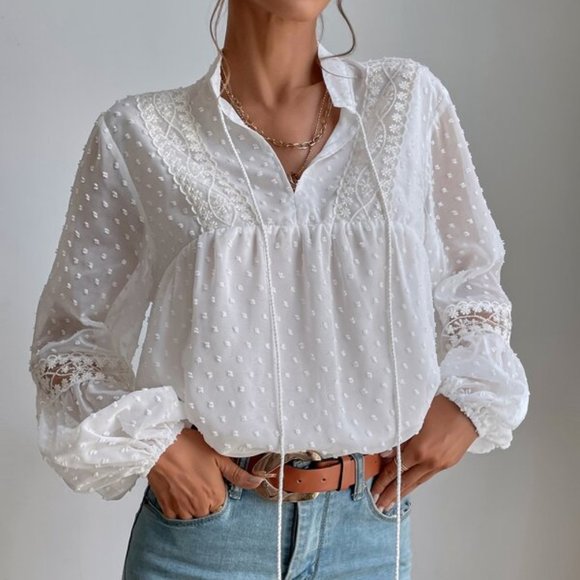 Swiss Dot Embroidery Mesh Lantern Sleeve Blouse - Picture 3 of 6